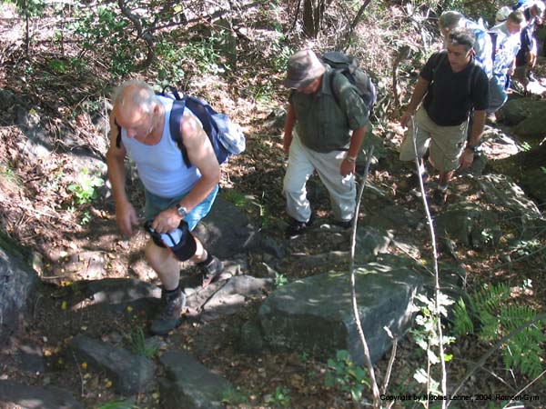 course_2004_059