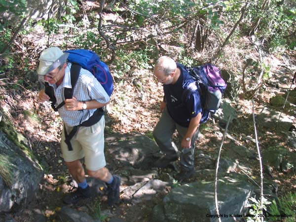 course_2004_061