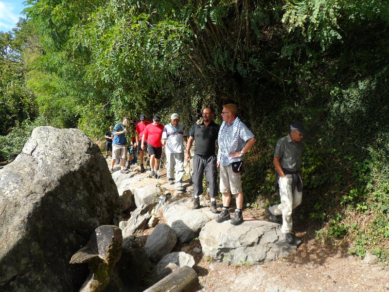 course_obli_2012_71