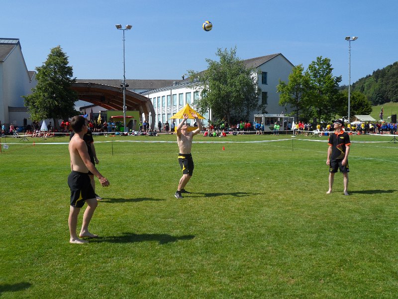 rickenbach_2014_14