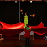 15_poly-adulte_08